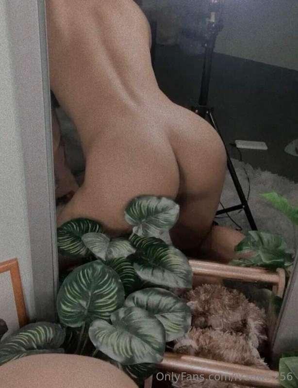 祕密花園大公開🫣🪴