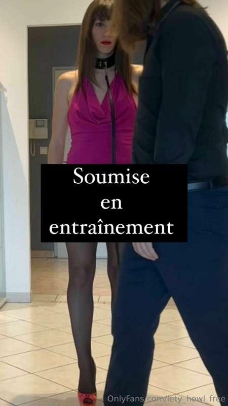 Lety Howl arrive chez son maitre pour se faire dresser. Insp..