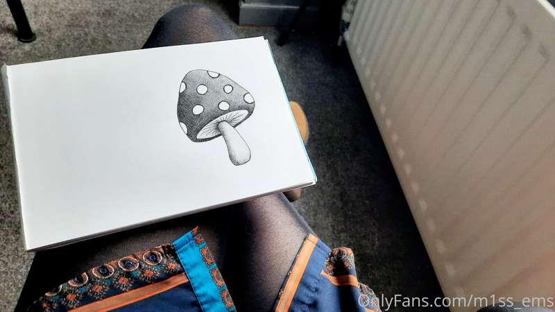 A toadstool 🍄