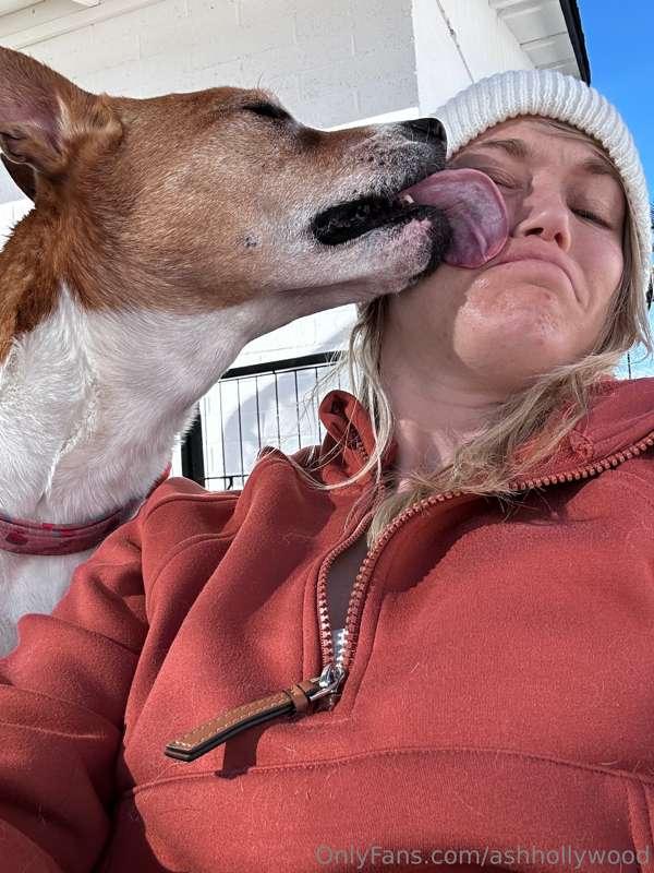 If I gave you the command to “roll over”, like the obedient ..