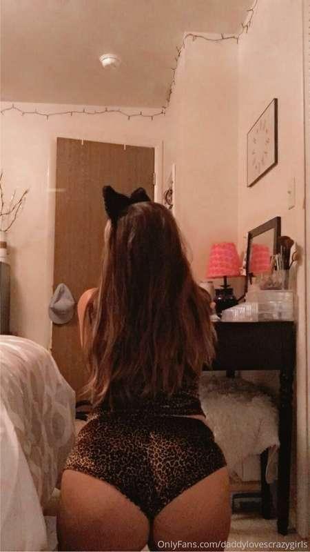 Meow 😍❤️