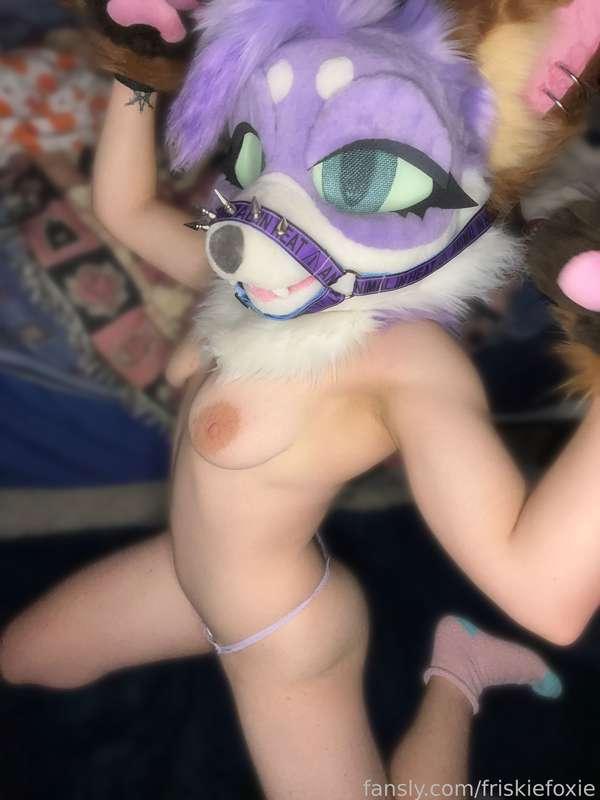 lustyfoxie image #0