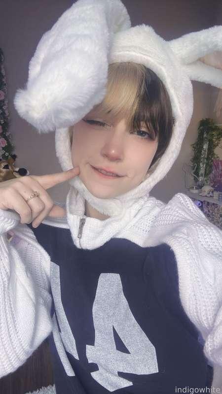 indigowhite image #12