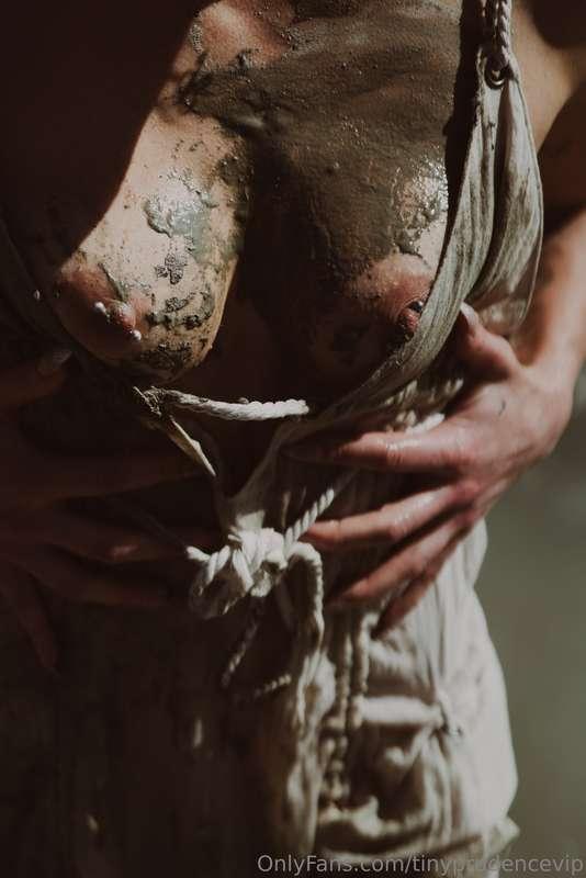 tinyprudencevip image #3