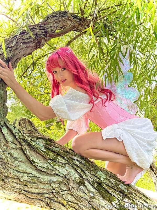 It’s been a few years since I climbed a tree 🌳