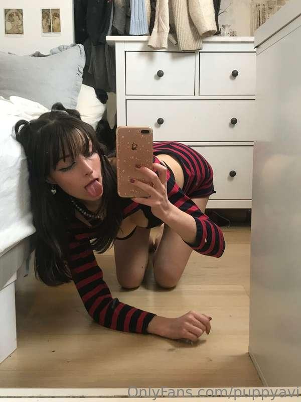 puppyavi image #2