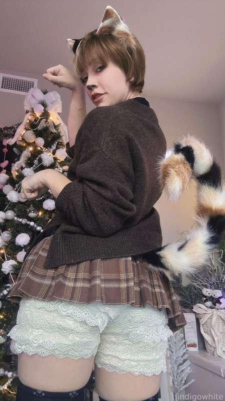 indigowhite image #4