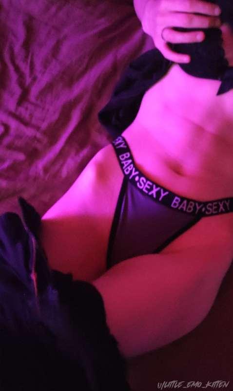 little_emo_kitten image #12