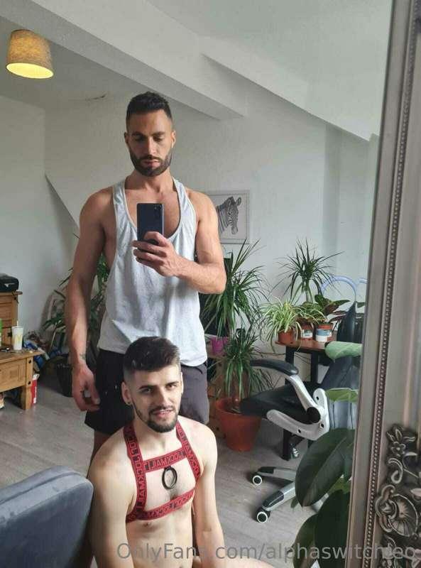 alphaswitchleo image #1