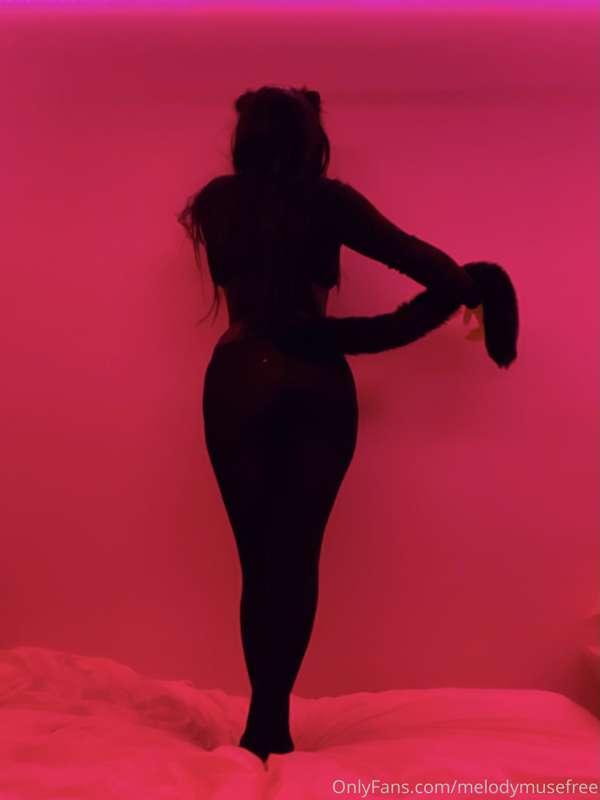 kitten silhouette - pet play to me is more than just going '..