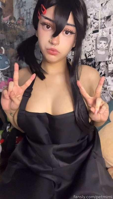 petmimi image #1