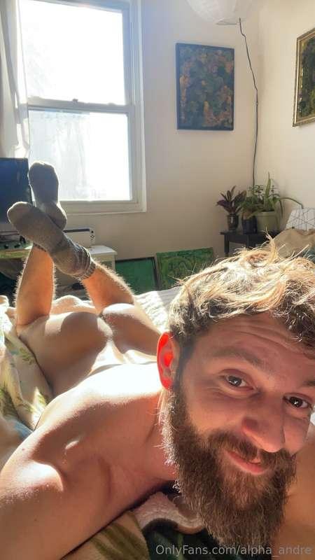 alpha_andre image #8