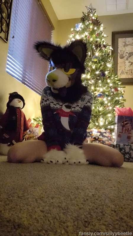 sillyybeetle image #3