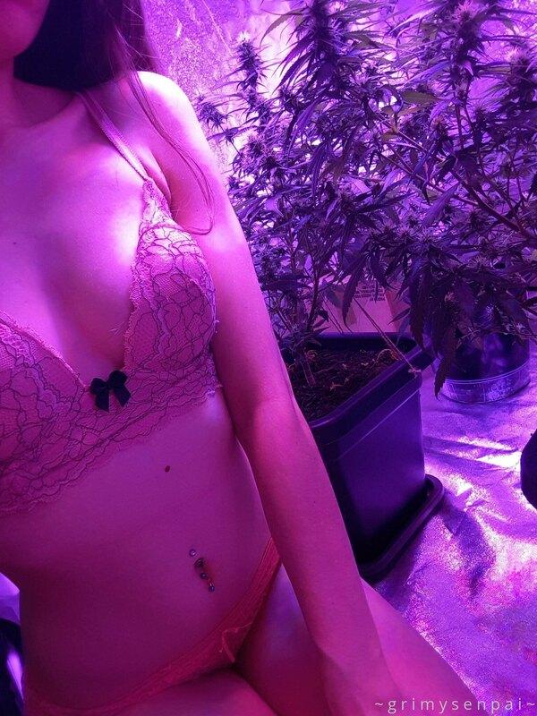 ?SHOUT OUT? 
?My one true weakness: gorgeous stoners?

onlyf..