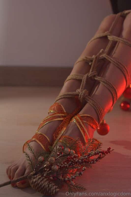 anxlogicdom image #2