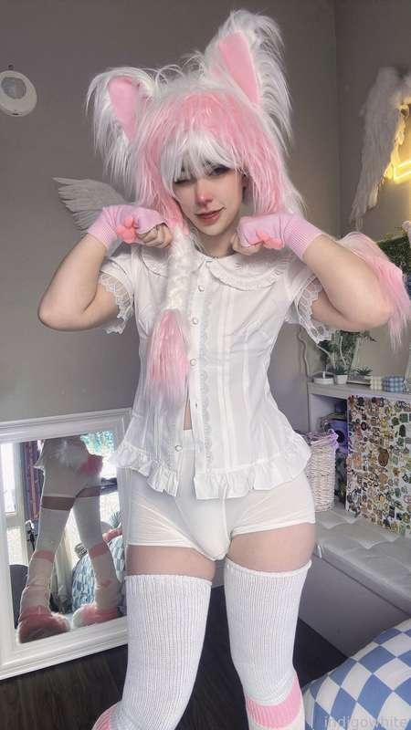 indigowhite image #162