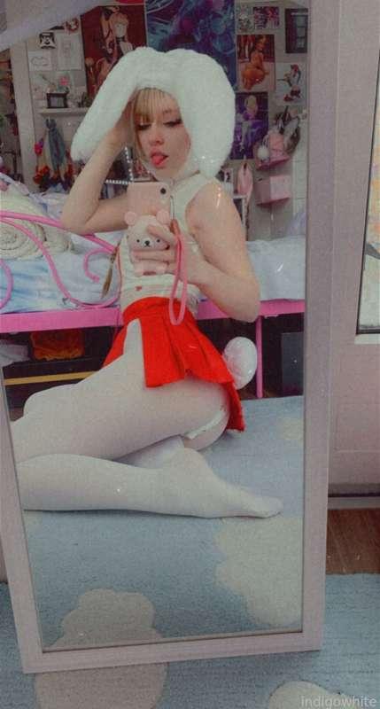indigowhite image #87