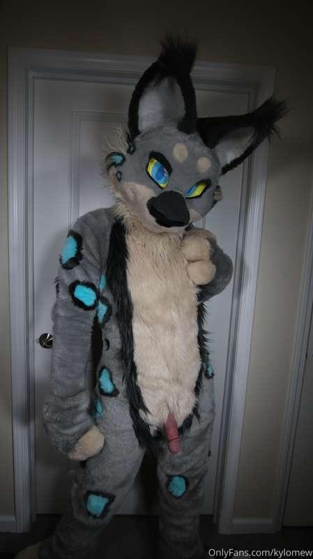 sometimes wearing a petsuit under your murrsuit feels like t..