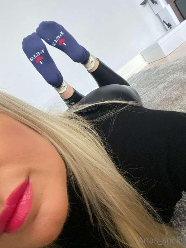 Hello My pets 🐶