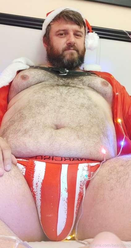 bearpamp image #0