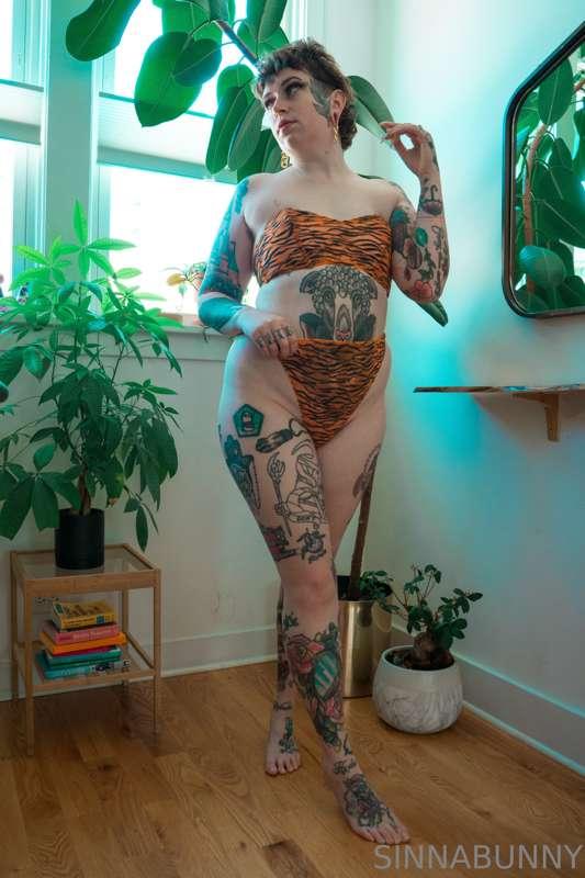 sinnabunny.premium image #7