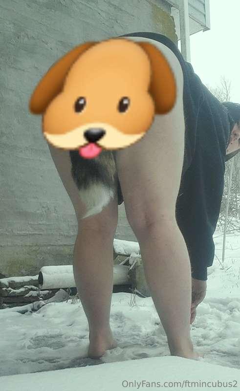 Bimbo hellhound plays in the snow ❄️💙