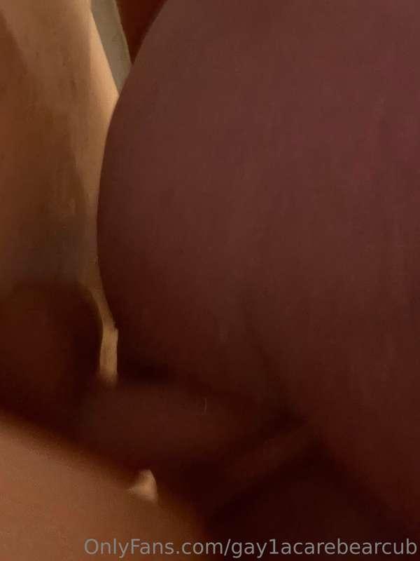 gay1acarebearcub image #0