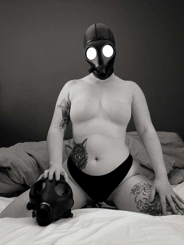 fabledfaun image #5