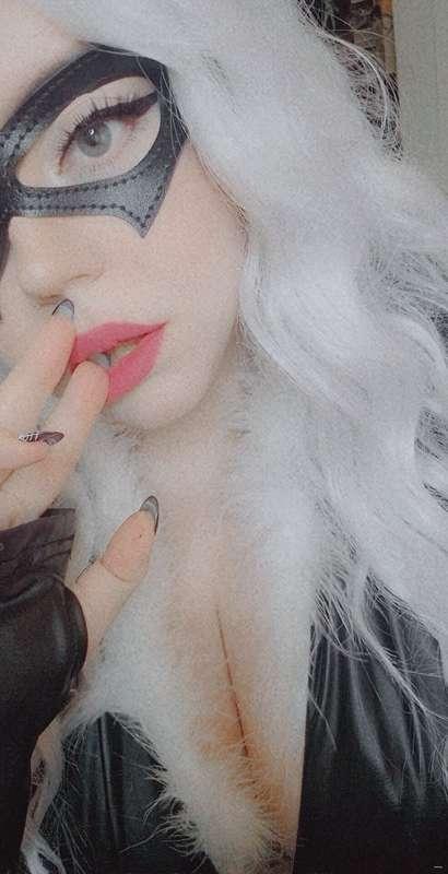 Black cat for anyone who didn't see it-