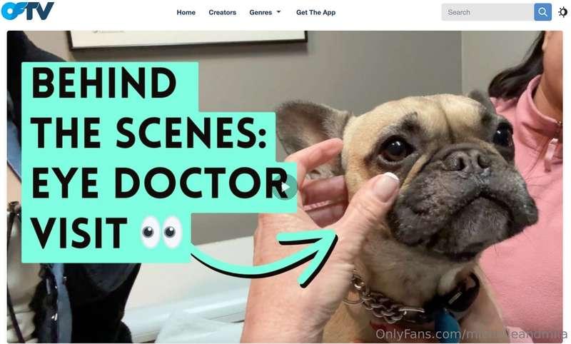 Wondering what happens in a dog eye check up appointment? Mi..