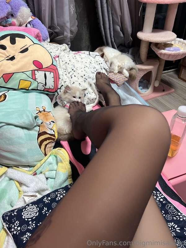 bigmimisasako image #0