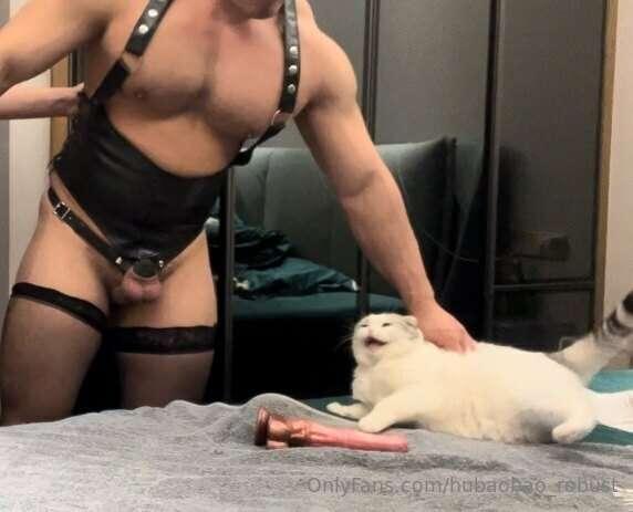 我们做爱的时候小猫咪🐱上来抢假鸡吧，然后被打了……哈哈哈哈哈

During our sex, little pussy..