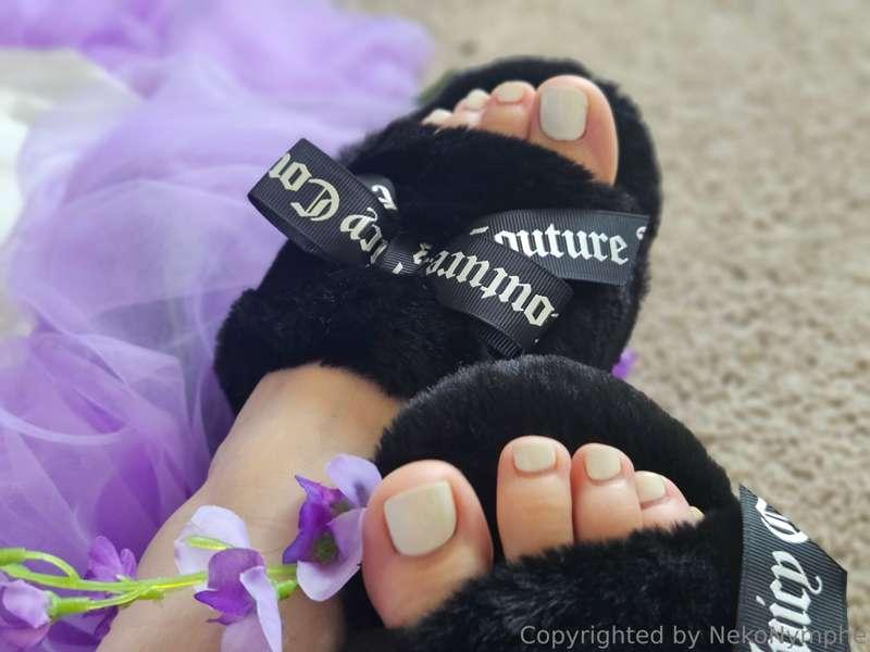 nekonymphe main image