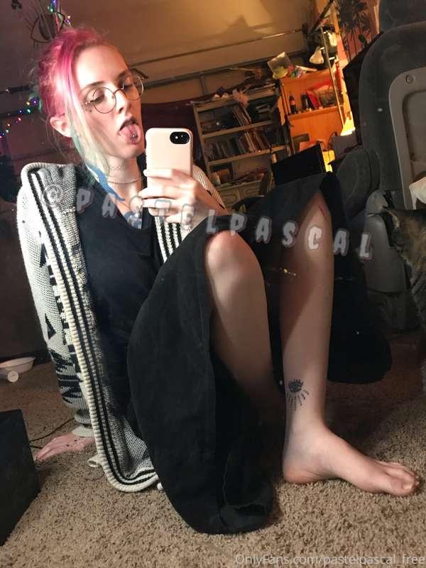 pastelpascal_free image #0