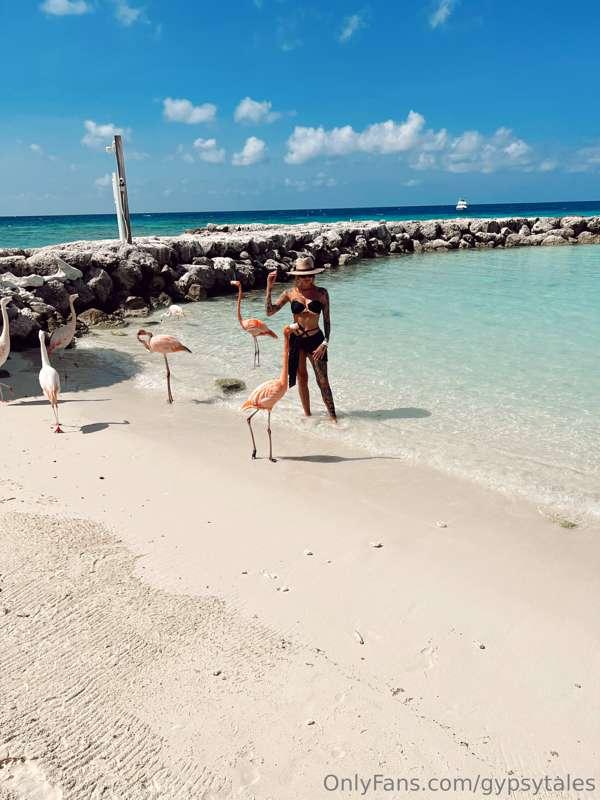 BEST part of Aruba was Flamingo Island! 10/10 recommend!