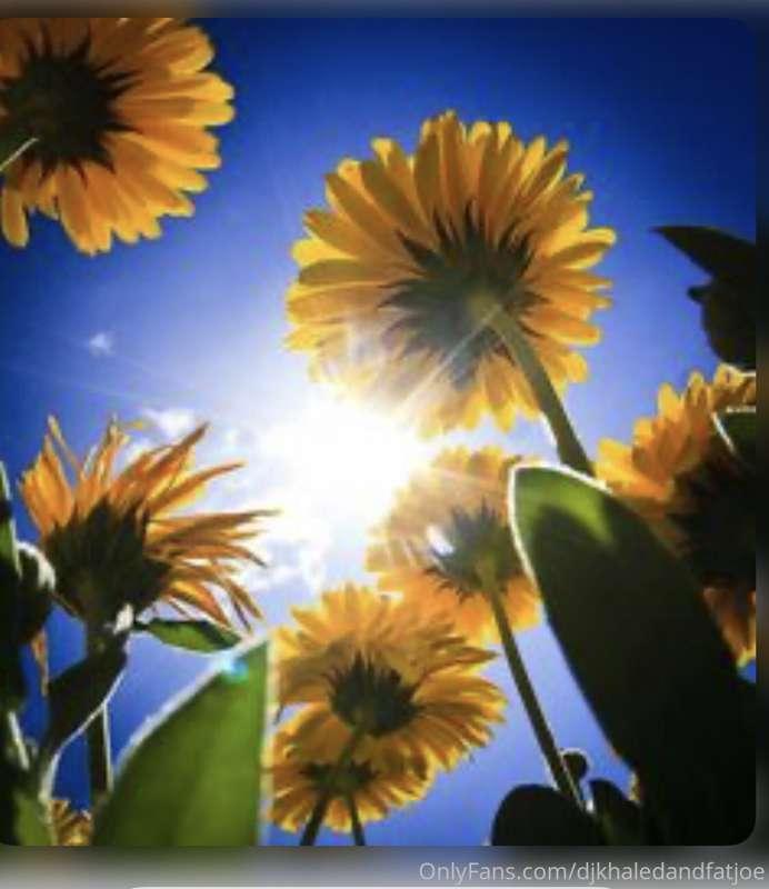 The light is love 🌞 (STAY IN THE LIGHT)
GOD IS LOVE ❤️ (BE T..