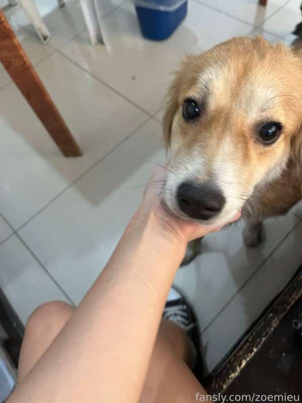 zoemieu image #3