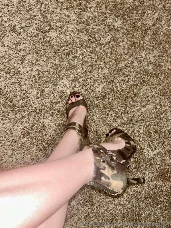 paranoidpuppy image #0