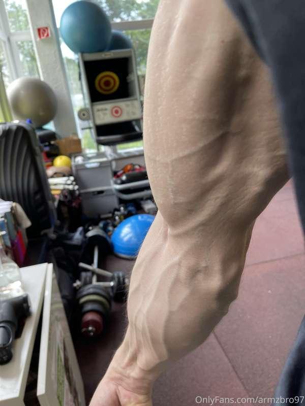 armzbro97 image #0
