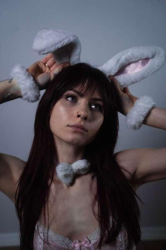 🐰