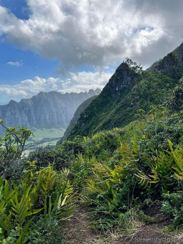 Quite the adventure, ended with some neighborly homemade sor..