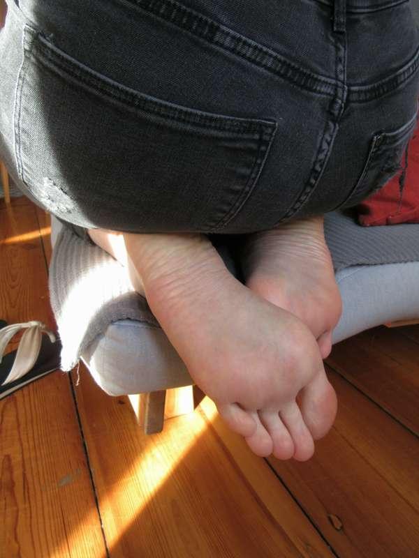 neolasoles image #16