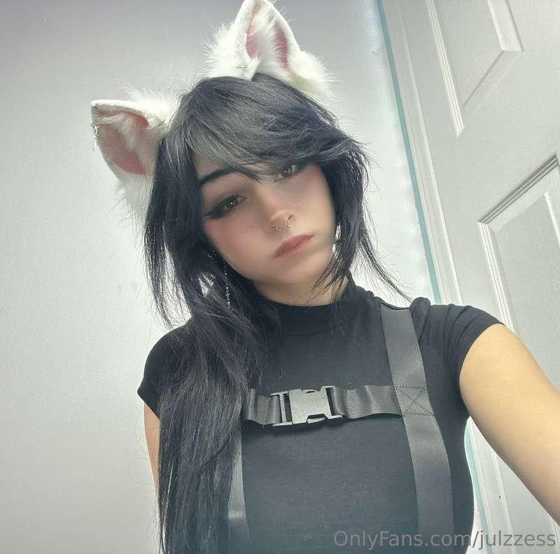 cat ears >