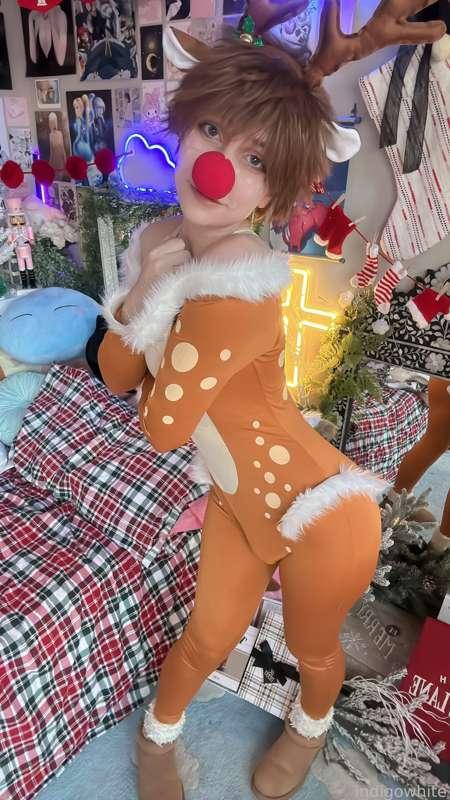 indigowhite image #1