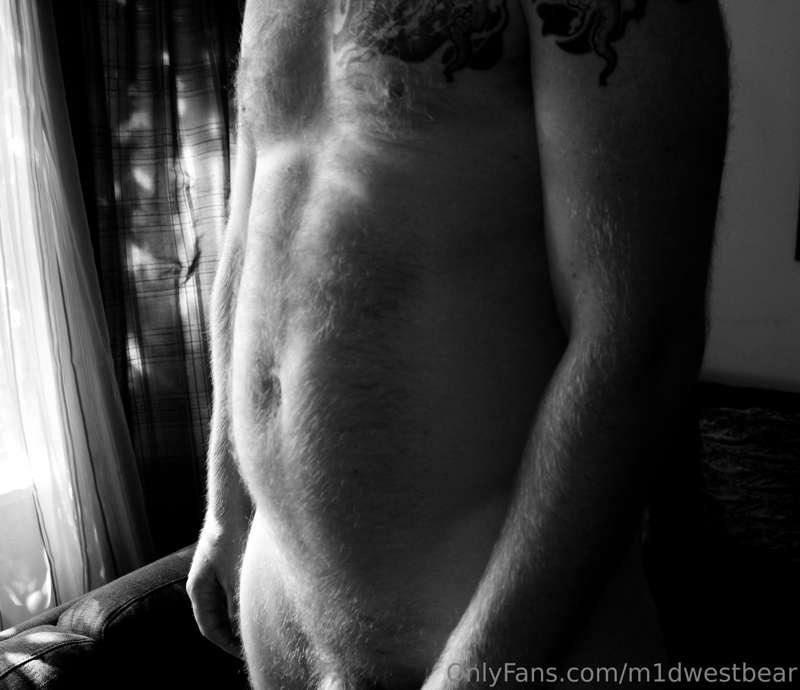 m1dwestbear image #1