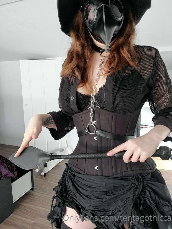 sockubus image #6
