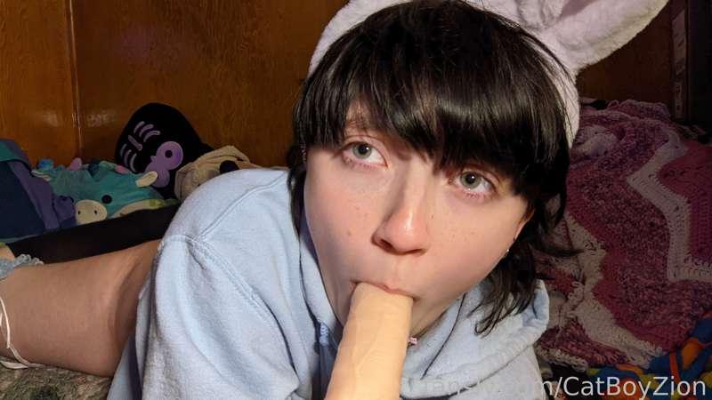 catboyzion image #7