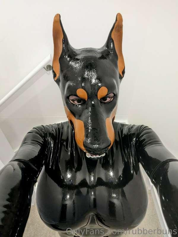 rubberbuns image #0