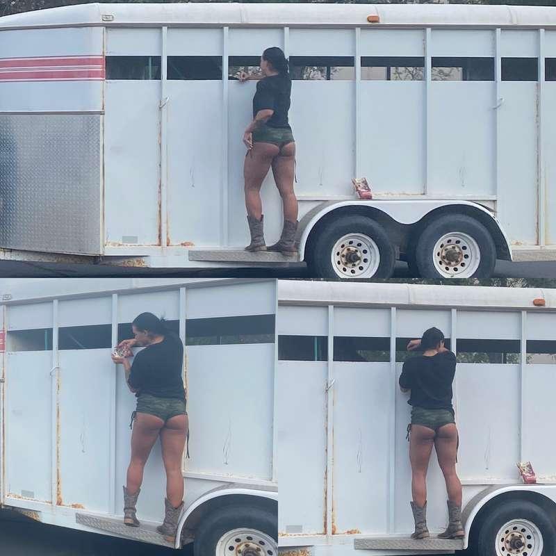 🐎
