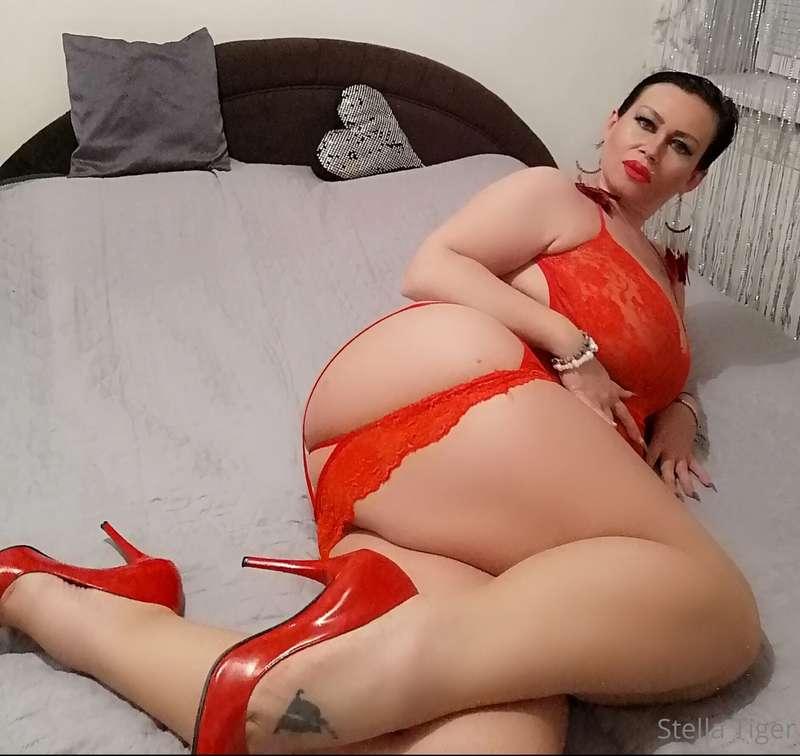 stellatiger10 image #2